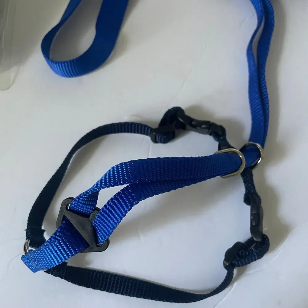 Premier Come With Me Kitty‎ Cat Harness & Bungee Leash Medium Blue Outdoor Walk
